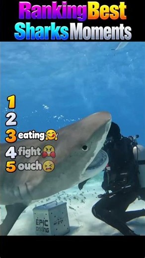 5 Insane Shark Moments That Will Blow Your Mind! 🦈😱 #Shorts