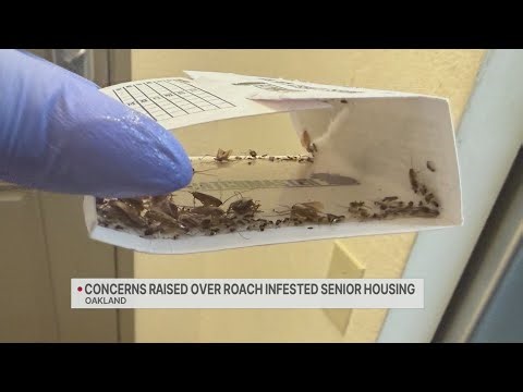 Concerns raised over roach infested senior housing in Oakland