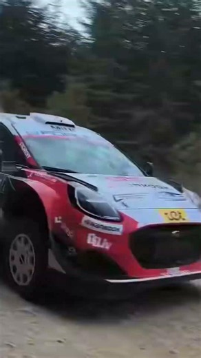 BEST OF RALLY SARDEGNA 2026 🇮🇹 | WRC INSANE ACTION