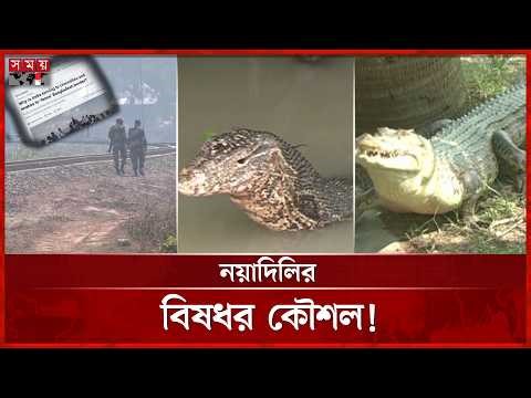 বাংলাদেশ সীমান্তে সাপ কুমির ছাড়বে ভারত! | Border Security | Bd Border News | Somoy TV