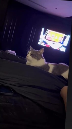 Γιαννακόπουλος - Με #dpg #dpg7000