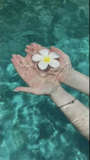 خلفيات الصيف 🎀☀️⛱️