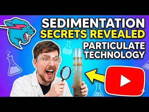 PARTICULATE TECHNOLOGY SEDIMENTATION 2