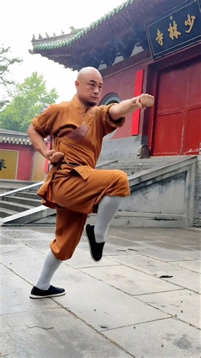 Shaolin Kung Fu ☯️ Motion and Stillness Become One (少林功夫)