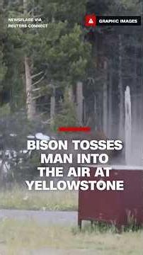 Bison tosses man into the air at Yellowstone