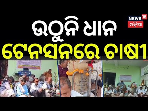 ଚାଷୀ ମୁଣ୍ଡରେ ପଡ଼ିଲା ଚଡ଼କ |Odisha Paddy Procurement Crisis | Odisha Farmers |Paddy Collection Stopped