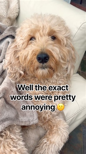 I got called pretty today 😊 #dog #puppy #pets #viral #shorts