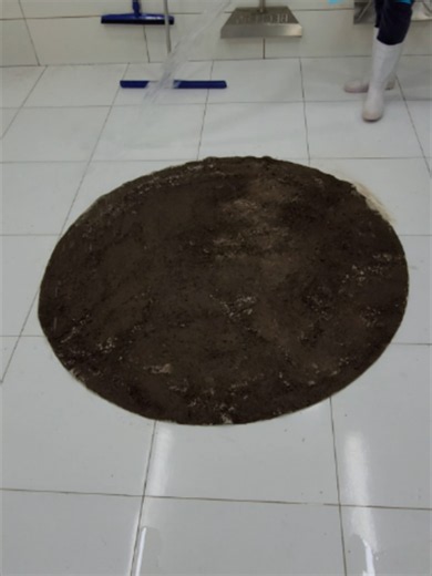 Cleaning satisfying the muddy carpet from the flood- ASMR RUG CLEANING #asmrsounds #cleaningtiktok #relaxing #asmr #cleaning #asmrsounds #asmr