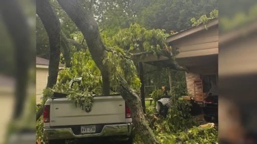 ‘I could hear a smash.’ Lightning strikes a tree in Malvern, causes tree limb to fall on home and vehicle