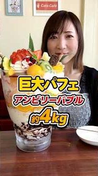 【大食い】4kgの超巨大パフェ「アンビリーバブル」に挑戦！【三宅智子】