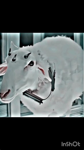 Alien Earth Eye Monster Scene | Terrifying Alien Creature Attack 👁️👾 | 4K Ultra HD