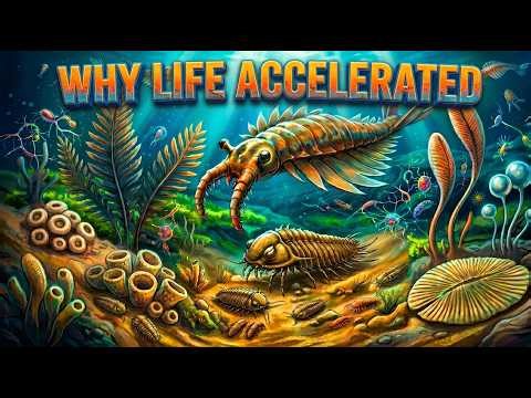 Earth Before Animals | The Strange World Before the Cambrian