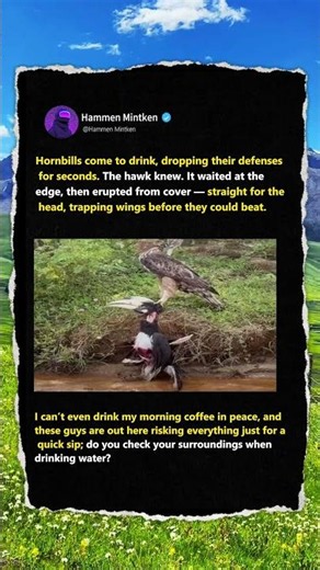 Hawk Strikes In A Split Second! 🦅 #Nature #Wildlife #Birds