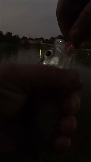 Night fishing for crappie