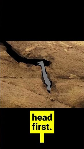 The WORST Way to Die: Buried Alive Upside Down ⚠️🪨#mystery #shorts
