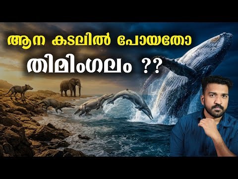 അസാധ്യമായ തിമിംഗല പരിണാമം !! Evolution Explained 