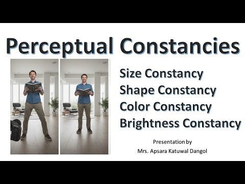 Perceptual Constancies and its types (Size, Shape, Color, and Brightness Constancy)