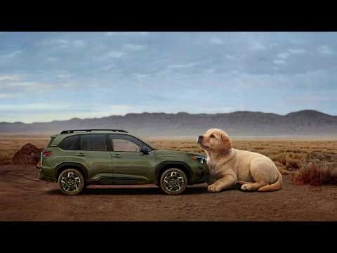 "BIG LOVE FOR THE SUBARU FORESTER HYBRID” :15 SUBARU | CONSUMER REPORTS