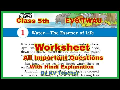 Water: The Essence of Life | Class 5 EVS Worksheet + Answers | Easy Explanation By KV Teacher.