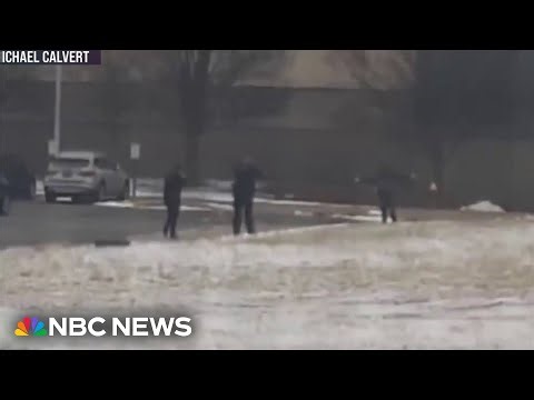 Armed man arrested after attempting to enter Michigan school