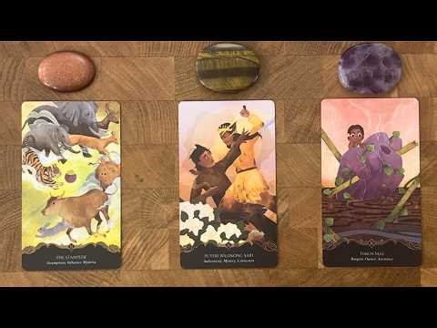 What to expect next in love? 😻💕| Timeless Reading