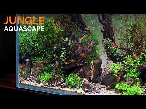 I Created a Jungle Style Aquascape for Rasboras🐟🌿 (Step by Step Aquarium Setup)