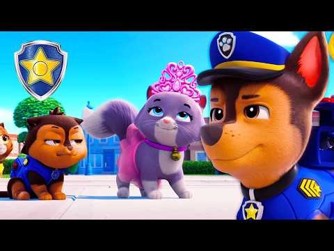 Humdinger Steals the Tiaras! 👑 Chase Saves the Pet Show! | Chase Official | PAW Patrol