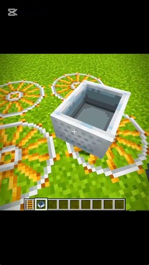 Day 110 Minecraft Tiktok Hack |