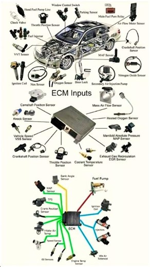 ECM sensors #automobile #mechanic #sensoryplay #automobile #automotive #mechanical #youtubeshorts