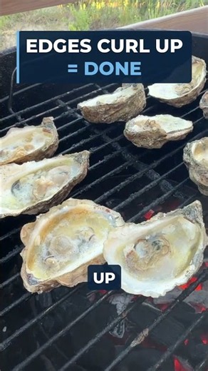 Grilled Oysters: When the Edges Curl Up, They're Done