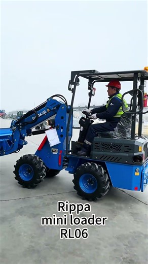 🚜 Looking for a Powerful & Affordable Mini Loader? #rippa