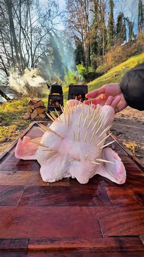 Grilled Chicken Recipe in Natural Setting