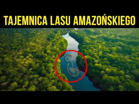 Dlaczego rzeka Amazonka nie ma mostów || Inne fakty o Amazonce