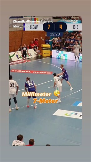 HBW Balingen-Weilstetten, Die Gallier on Reels