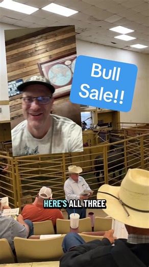 We had a fantastic weekend at the Texas Angus sale. Our bulls did well representing HMR and our angus program! Super happy with how our all turned out. #ranch #farmanimals #farmlife #cow #auction