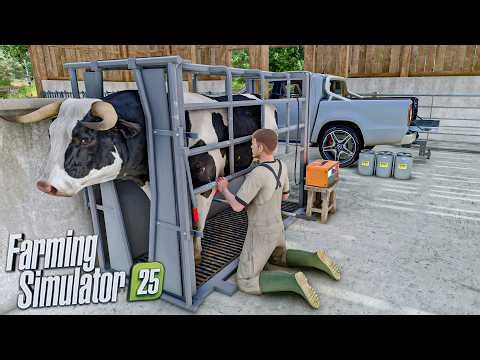 BULL Breeding Farm from Scratch (realistic production of bull semen) | FS25