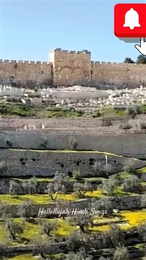 The Golden Gate Mystery of Jerusalem ✝️#shorts # #god