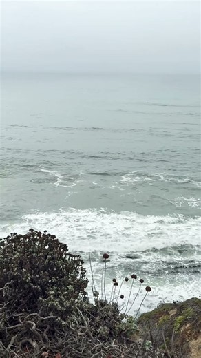 A Peaceful Fall Beach Vibes - Half Moon Bay #beach #california #beach #ကမ်းခြေ #beachscenes
