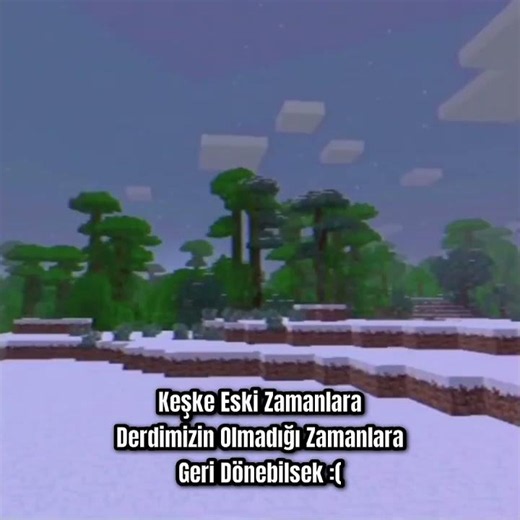 Bunu İsteyen Sadece Ben Olamam Bence #minecraft #ytdayibenionecikarnolur #minecraftshorts