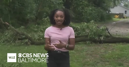 Trees down, damage in Pasadena after severe storm rolls through Maryland