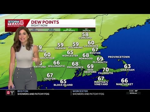 Video: Heavy rain, Flash Flood watch issued