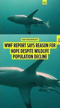 WWF report says reason for hope despite wildlife population decline