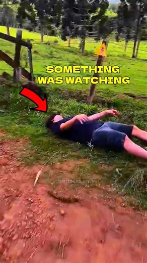 HE REALIZED TOO LATE WHAT WAS WATCHING HIM 😨