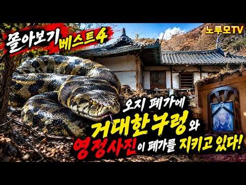 소름돋는 산골 폐가 거대한 구령이와 수수깨끼의 영정 사진들 베스트 4 (몰아보기)#오지산골다큐