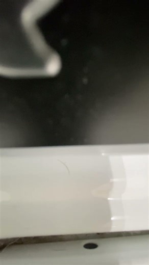 Washing machine Speed Queen screech/slipping noise?