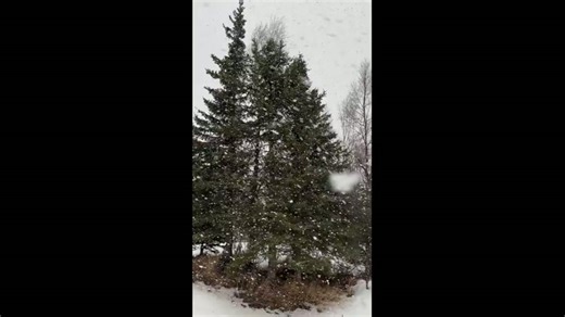 Heavy snowfall and strong winds hit Anchorage during ongoing storms in Alaska, USA