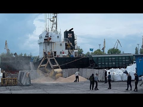 Ukraine formally asks Israel to seize vessel carrying grain stolen by Russia