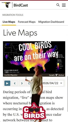 Bird Migration is EXPLODING Across the Country! 🤯