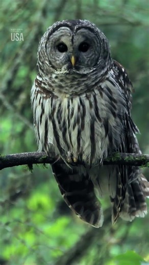 La naturaleza, ¿un remedio natural para la presión arterial? 🌳 | NATIONAL GEOGRAPHIC