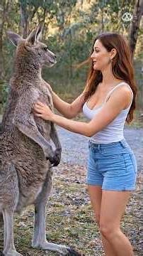 10 Animals Only Brave People Could Rescue 😮 Part 12